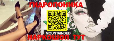ПСИЛОЦИБИНОВЫЕ ГРИБЫ Сланцы