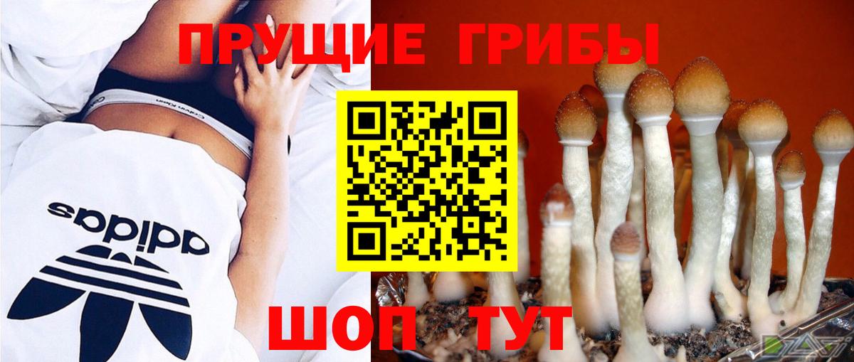 Галлюциногенные грибы прущие грибы Отрадный